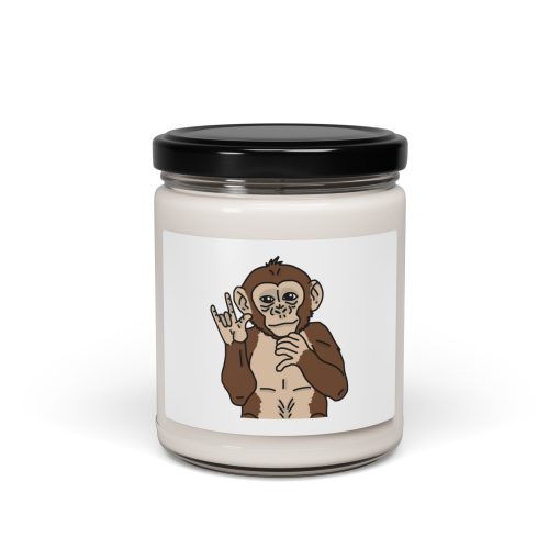 Scented Soy Candle, 9oz